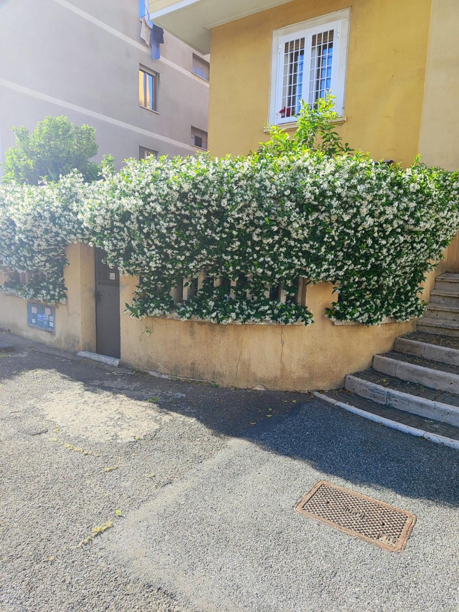 Apartamento Casa Cartoni Roma